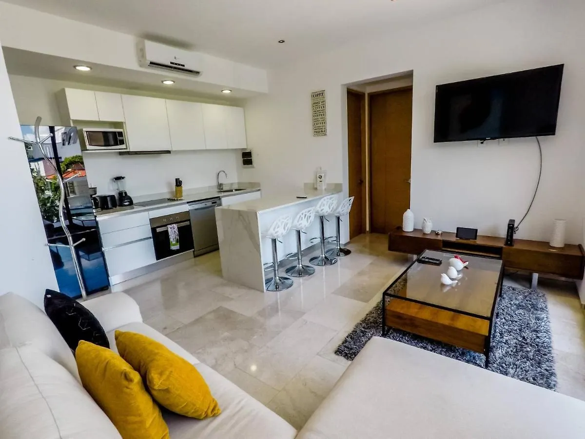 Apartment Lovely 1 Bedroom Apartment, 3 Blocks To Mamitas, Roof Pool Views, Bbq Playa del Carmen