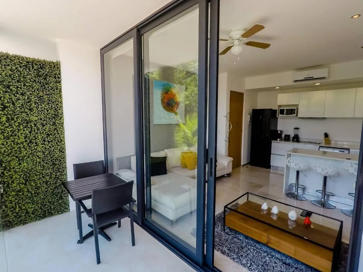 Apartment Lovely 1 Bedroom Apartment, 3 Blocks To Mamitas, Roof Pool Views, Bbq Playa del Carmen